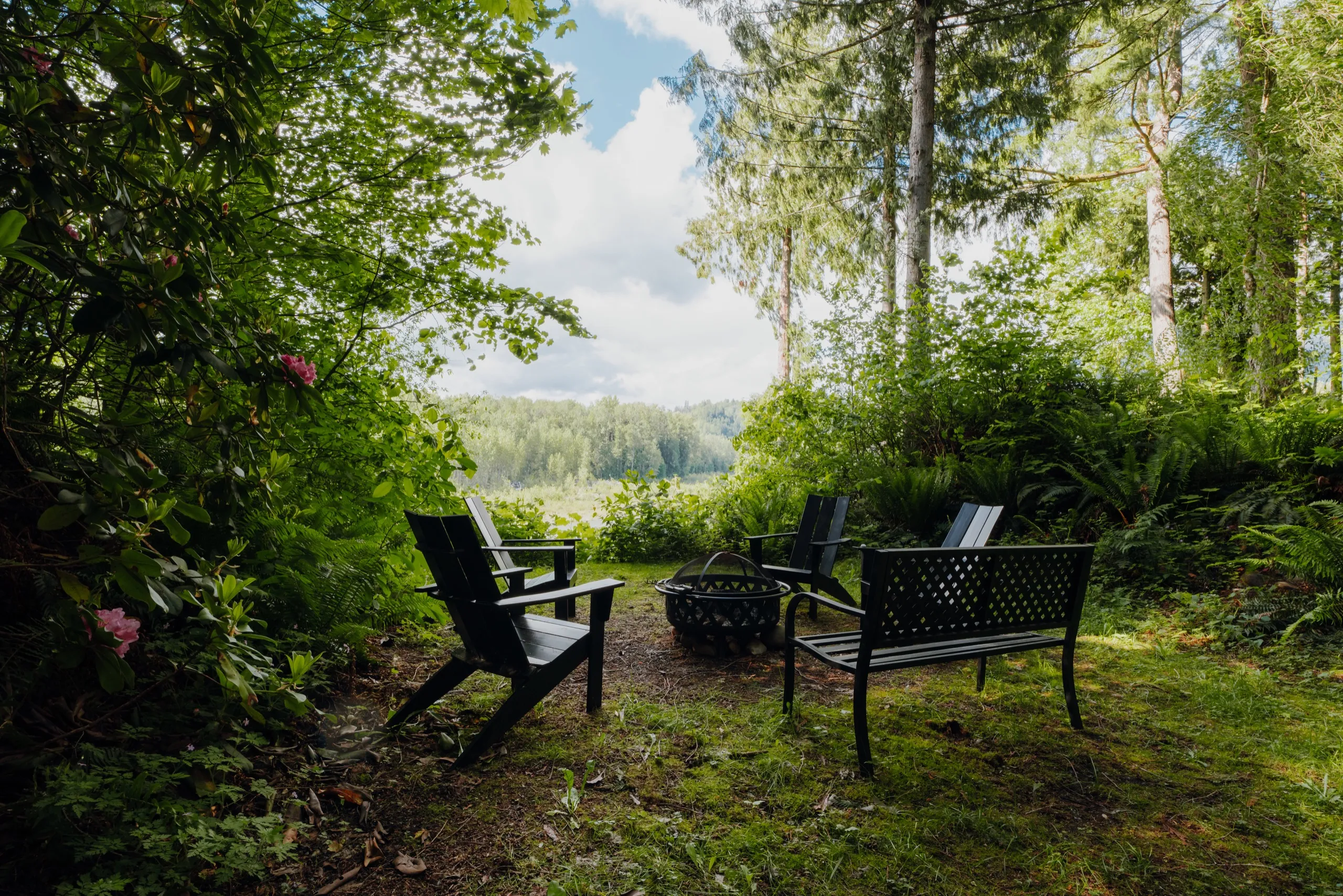 Backyard & river photo 2