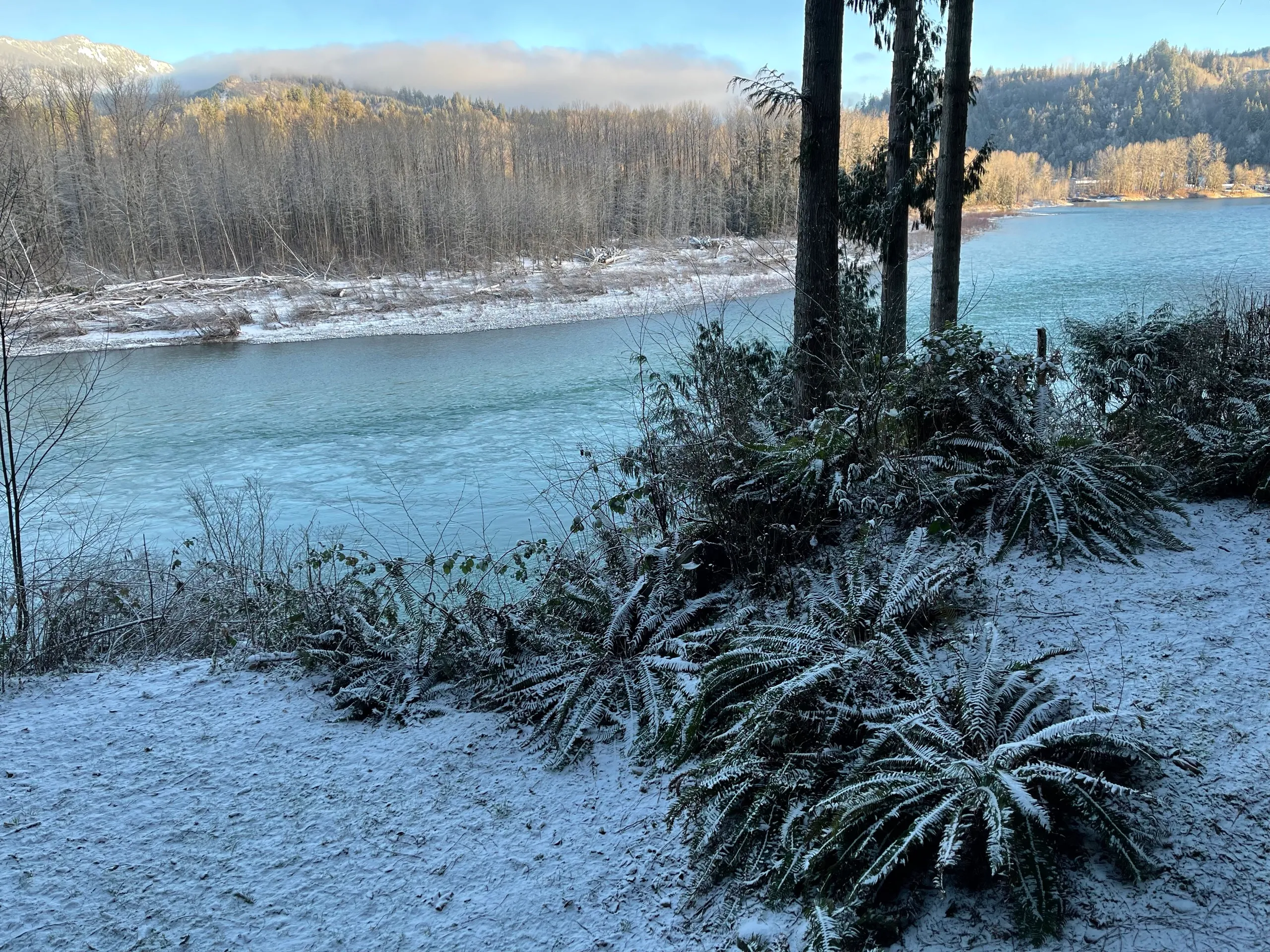 Backyard & river photo 15