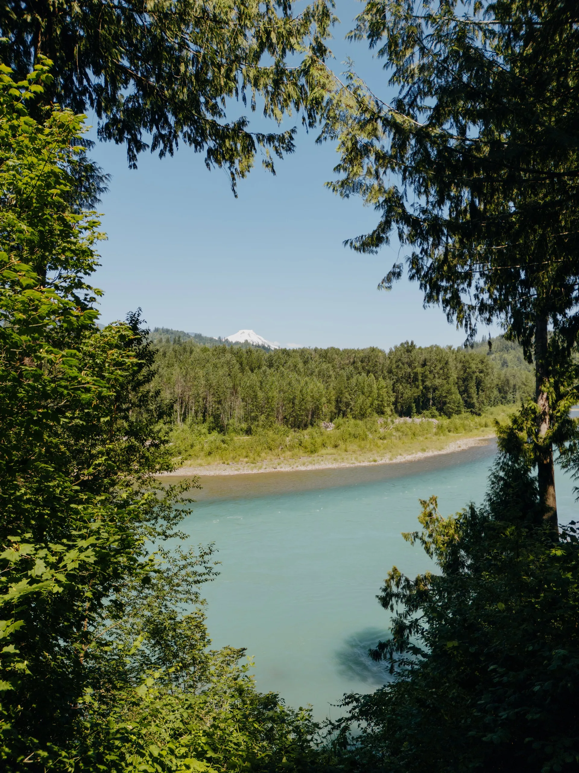 Backyard & river photo 12